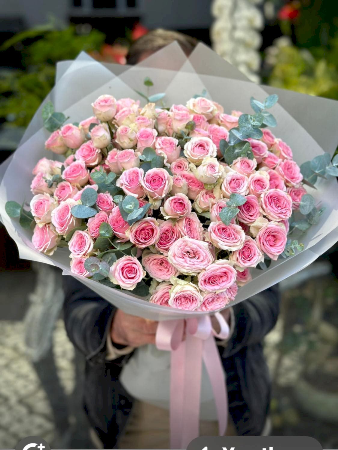 Çardak Pembe Gül
