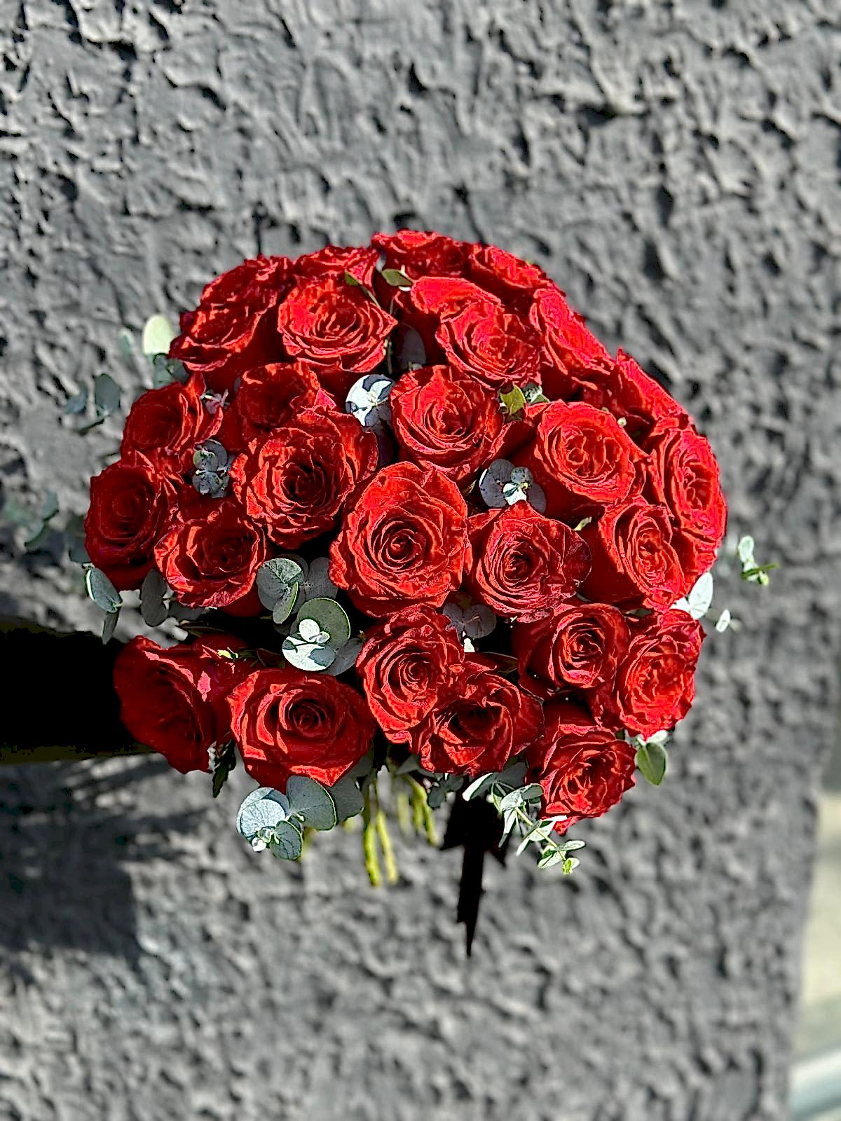 Red Rose (Kırmızı Gül)