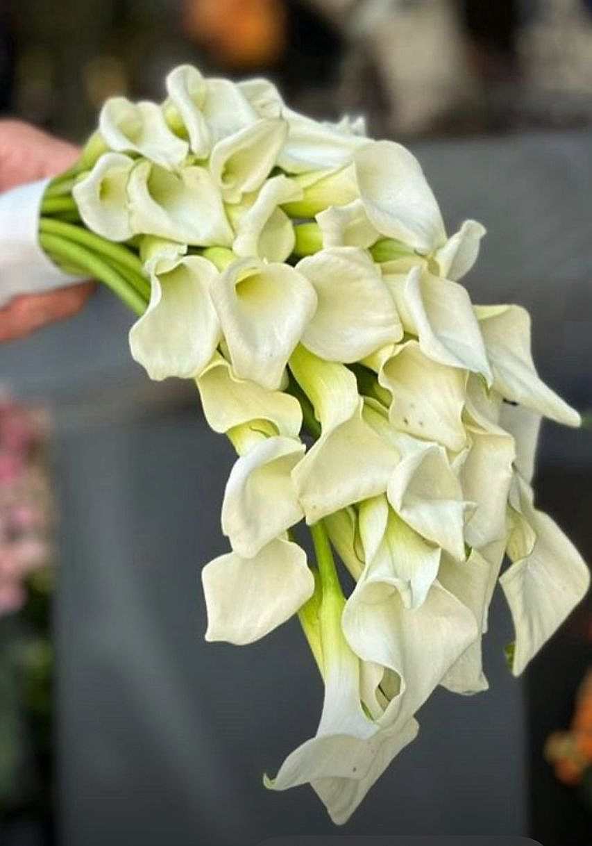 White cala gelin buketi
