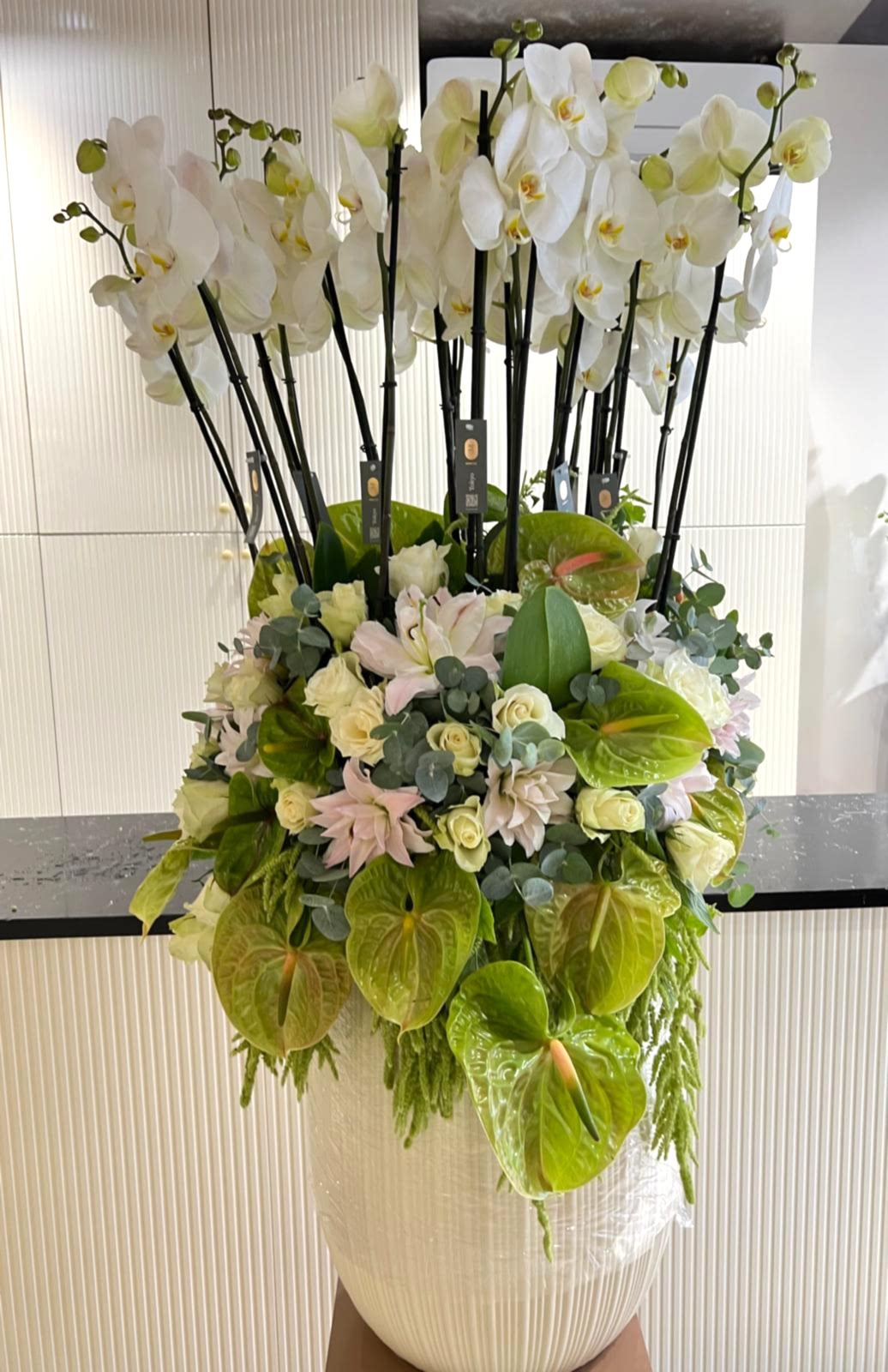 Orchid Grandeur Arrangement